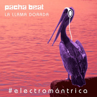 Pacha Beat - La Llama Dorada