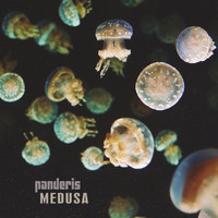 Nicolas Panderis - Medusa