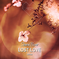 Severin Borer - Lost Love