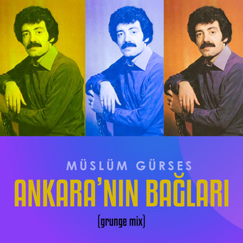 Müslüm Gürses - Ankara'nın Bağları (Grunge Mix)