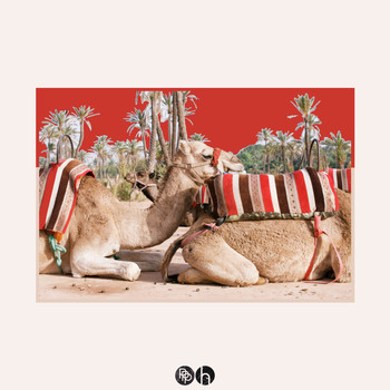 Vilhelm - Camel Ride