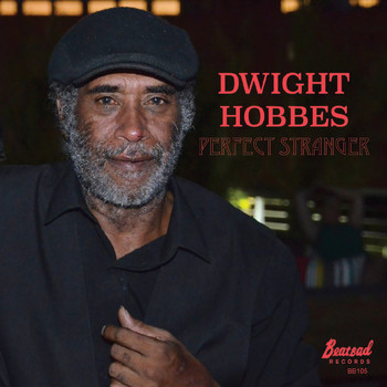 Dwight Hobbes - Perfect Stranger (Explicit)