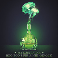 The String Cheese Incident - SCI Sound Lab: Boo Boo's Pik-a-Nik - Single