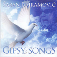 Saban Bajramovic - Gipsi songs (Instumental)