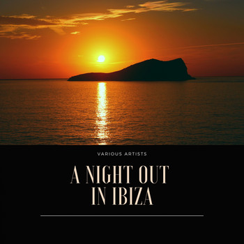 Various Artists - A Night Out in Ibiza