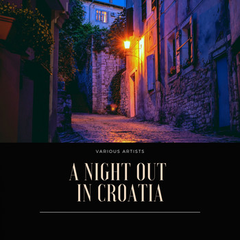 Various Artists - A Night Out in Croatia