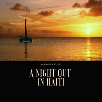Various Artists - A Night Out in Haiti