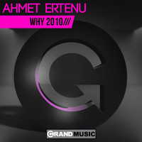 Ahmet Ertenu - Why 2010