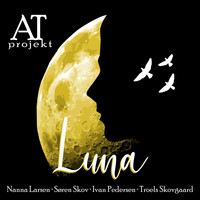 AT Project - Luna