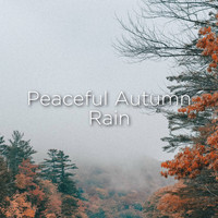 Relaxing Rain Sounds and ASMR Rain Sounds - Peaceful Autumn Rain