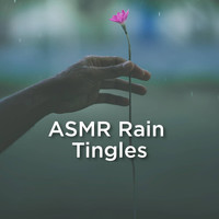 Relaxing Rain Sounds and ASMR Rain Sounds - ASMR Rain Tingles