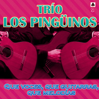 Trío Los Pingüinos - Que Voces, Que Guitarras, Que Melodías