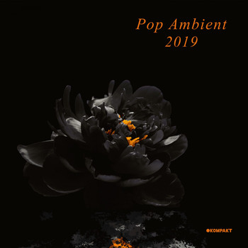 Various Artists - Pop Ambient 2019