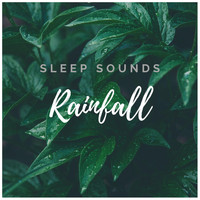 Sleep Sounds Rainfall - Rain in Garden. Sweet Rain Sound for Sleep and Relax