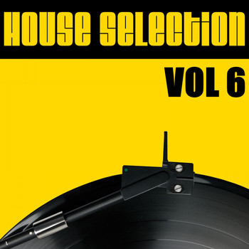 Various Artists - House Selection, Vol. 6