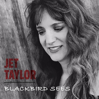 Jet Taylor - Blackbird Sees
