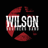 WILSON BROTHERS BAND - It All Looks Good from Here