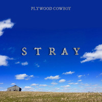 Plywood Cowboy - Stray
