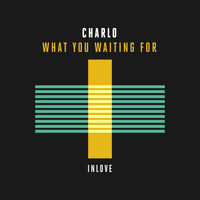 Charlo - What You Waiting For