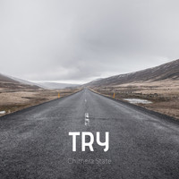 Chimera State - Try