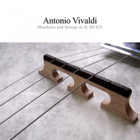 Antonio Vivaldi - Mandolin and Strings, Rv425