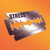 Stress - Sincèrement (Explicit)