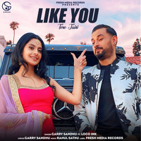 Garry Sandhu - Like You (Tere Jaisi)