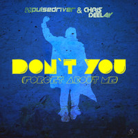Pulsedriver, Chris Deelay - Don't You (Forget About Me)