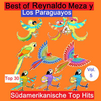 Reynaldo Meza & Los Paraguayos - Top 30: Best Of Reynaldo Meza y Los Paraguayos - Südamerikanische Top Hits, Vol. 5