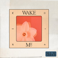 Saint Saviour - Wake Me