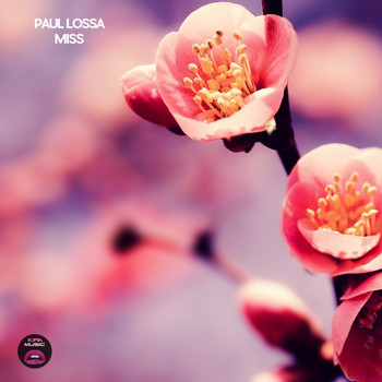 Paul Lossa - Miss