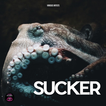 Various Artists - Sucker