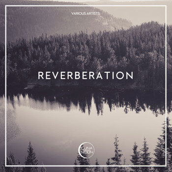 Various Artists - Reverberation