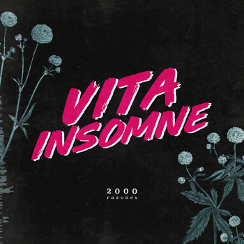Vita Insomne - 2000 Razones