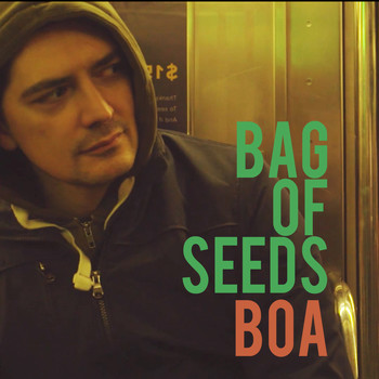 BOA - Bag of Seeds