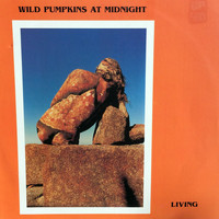 Wild Pumpkins at Midnight - Living
