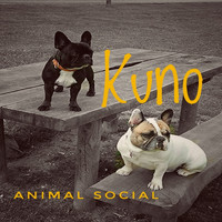 Kuno - Animal Social