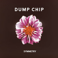 Dump Chip - Symmetry