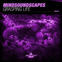 Mindsoundscapes - Grasping Life