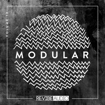 Various Artists - Modular, Vol. 13