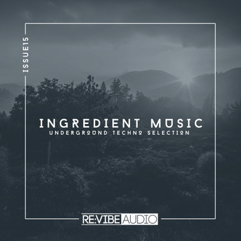 Various Artists - Ingredient Music, Vol. 15