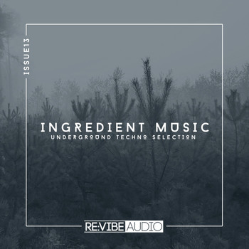 Various Artists - Ingredient Music, Vol. 13