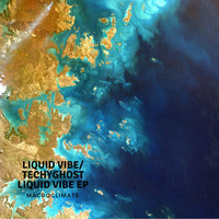 Macroclimate - Liquid Vibe / Techy Ghost