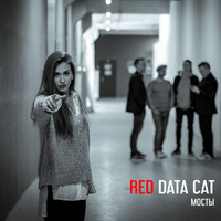 Red Data Cat - Мосты