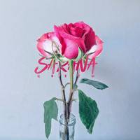 SARANA - Цветы