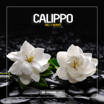 Calippo - All I Want