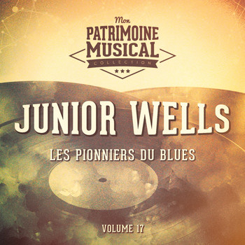 Junior Wells - Les pionniers du Blues, Vol. 17 : Junior Wells