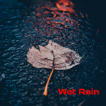 Various Artists - Wet_rain