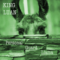 King Luan - Personal Guard Llama