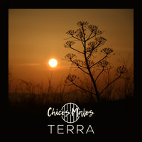 Chicos Malos - Terra